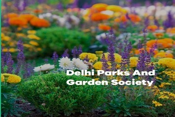 Financial Assistance to RWAs for maintenance of parks and gardens and one time Financial Assistance to RWA for installation of STPs
